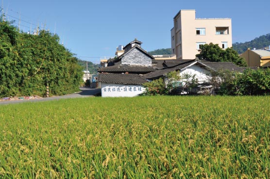 鐮仔坑口吳家大阪式菸寮